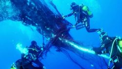 CNNE 1213170 - buzos liberan a una ballena jorobada atrapada