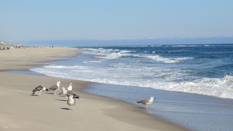 3. Playa Coopers, Southampton, Nueva York: situada en la costa sur de Long Island, esta franja de arena tiene cientos de metros de ancho y está respaldada por dunas salpicadas de lujosas mansiones. Crédito: Joe Trentacosti/Adobe Stock