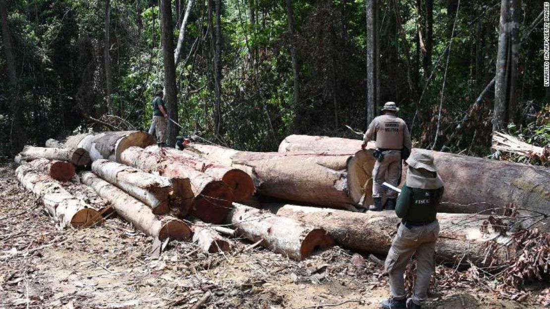 Funcionarios del Estado de Pará, en el norte de Brasil, inspeccionan una zona deforestada en septiembre.