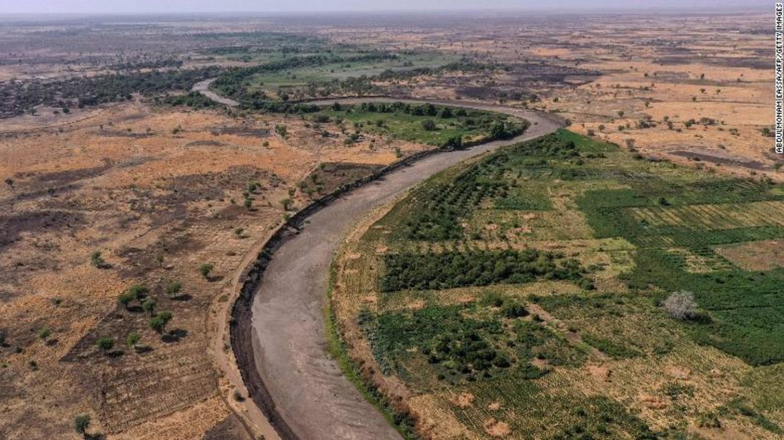 Intensificar los esfuerzos de conservación y gestión de los parques naturales, los océanos y los bosques es fundamental para salvaguardar la biodiversidad y mantener el equilibrio de los ecosistemas.