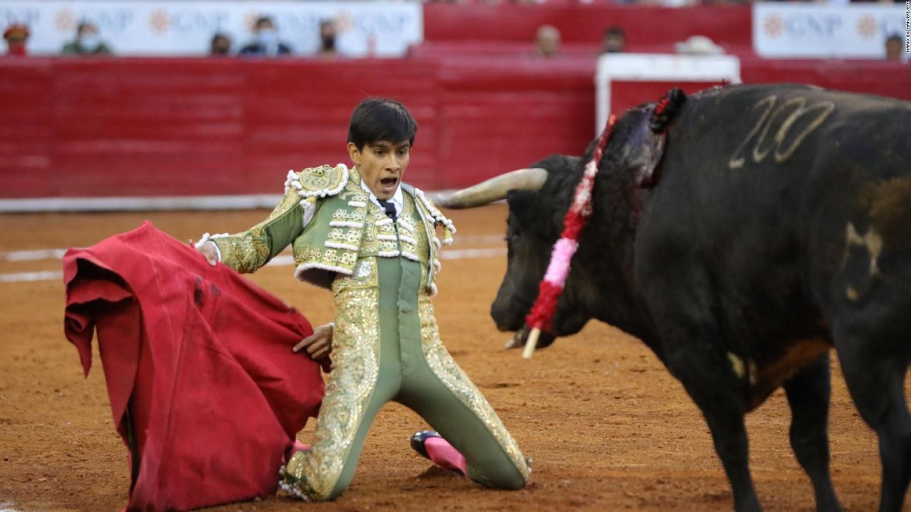 CNNE 1218821 - prohiben corridas en plaza de toros mas grande del mundo