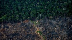 CNNE 1220754 - protestan por el amazonas en la ix cumbre de las americas