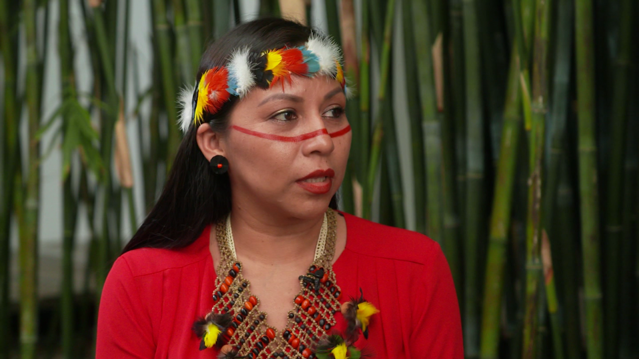 CNNE 1221028 - lider indigena pide salvar la amazonia, pulmon del mundo