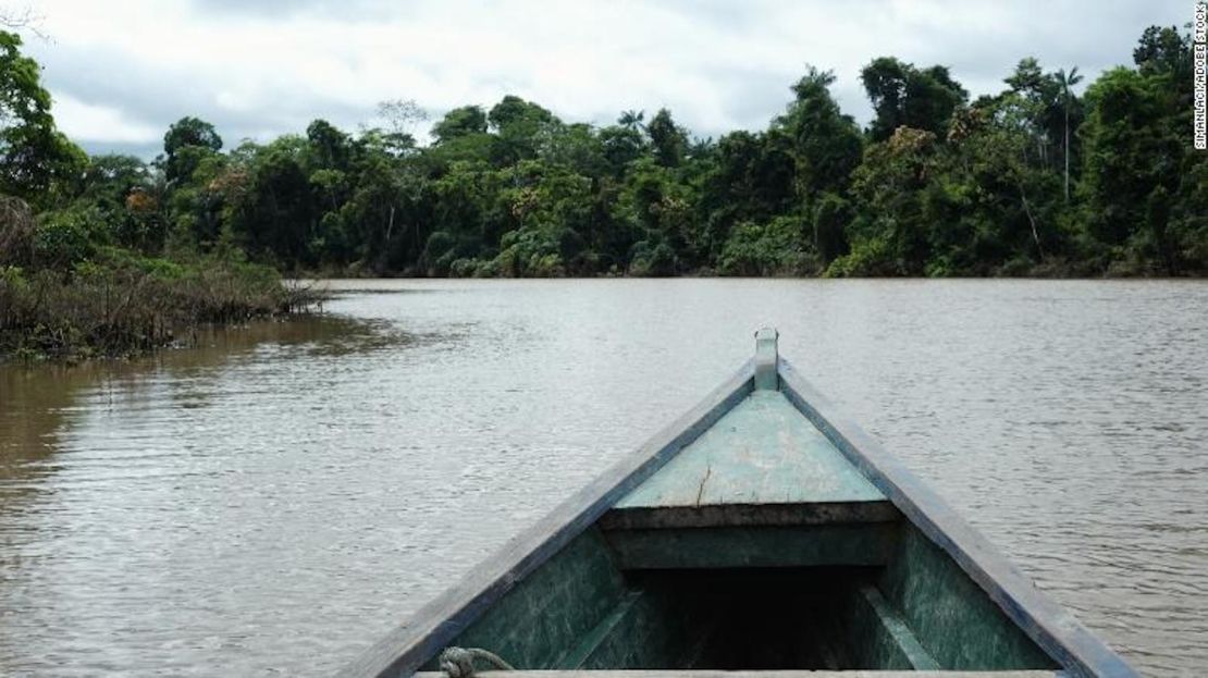 Una foto del Valle de Javari, Amazonia de Brasil el 15 de febrero de 2016.