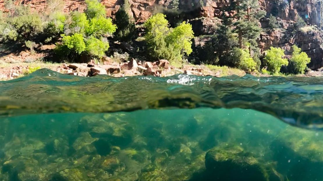 La salida de temperatura controlada del embalse crea una zona Ricitos de oro para la incubación de insectos y truchas.