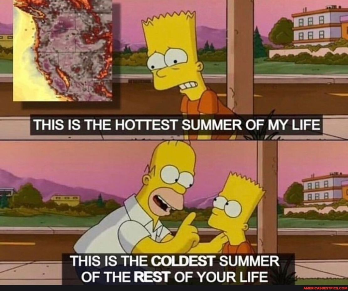 CNNE 1227375 - calor-meme-simpson