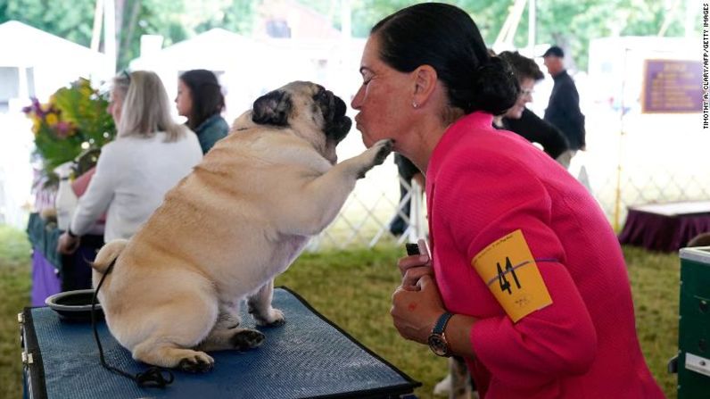 Natasha Cooper besa a su pug.