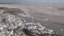 CNNE 1229925 - toneladas de basura inundan playas de honduras