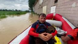 CNNE 1231277 - inundaciones en turquia- rescatan perros y vacas en bote