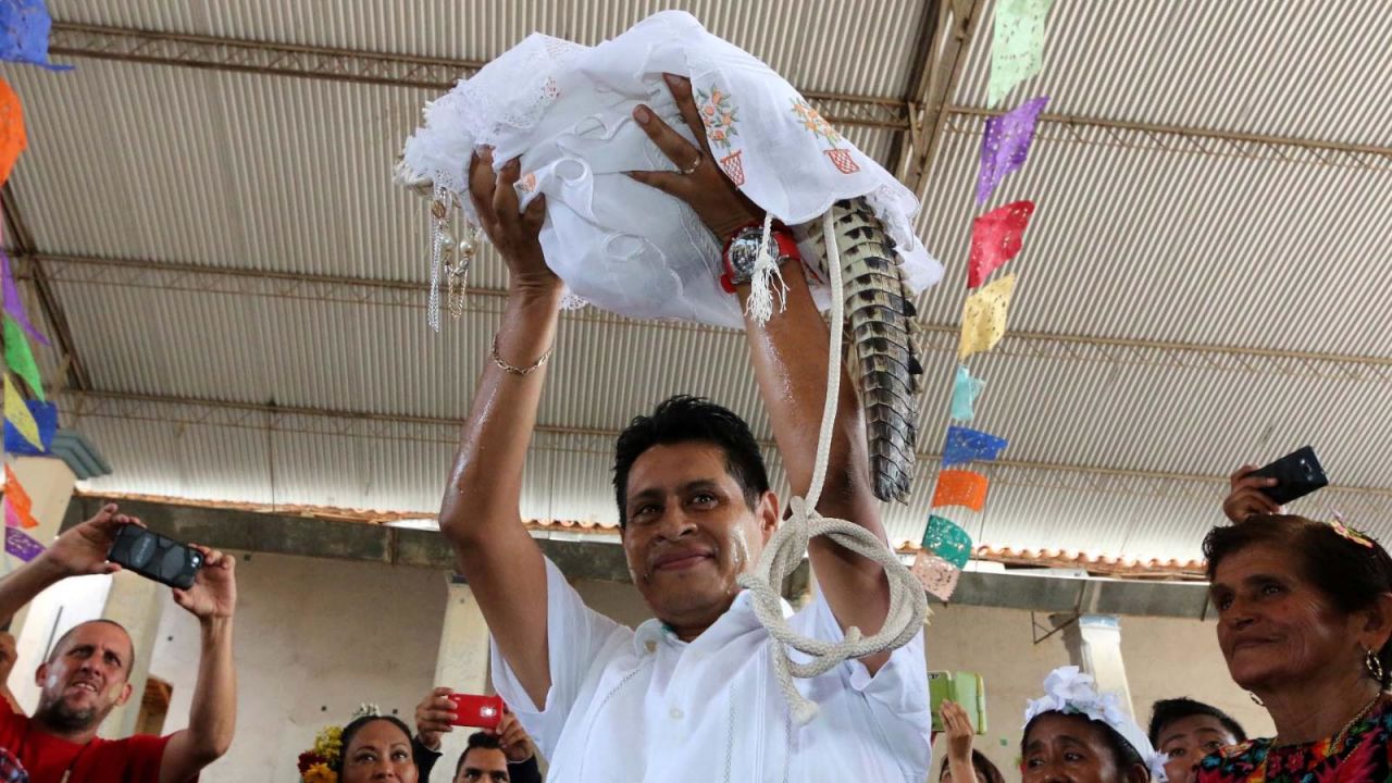 CNNE 1232717 - el alcalde de un pueblo en oaxaca, mexico, se caso ¡con un caiman!