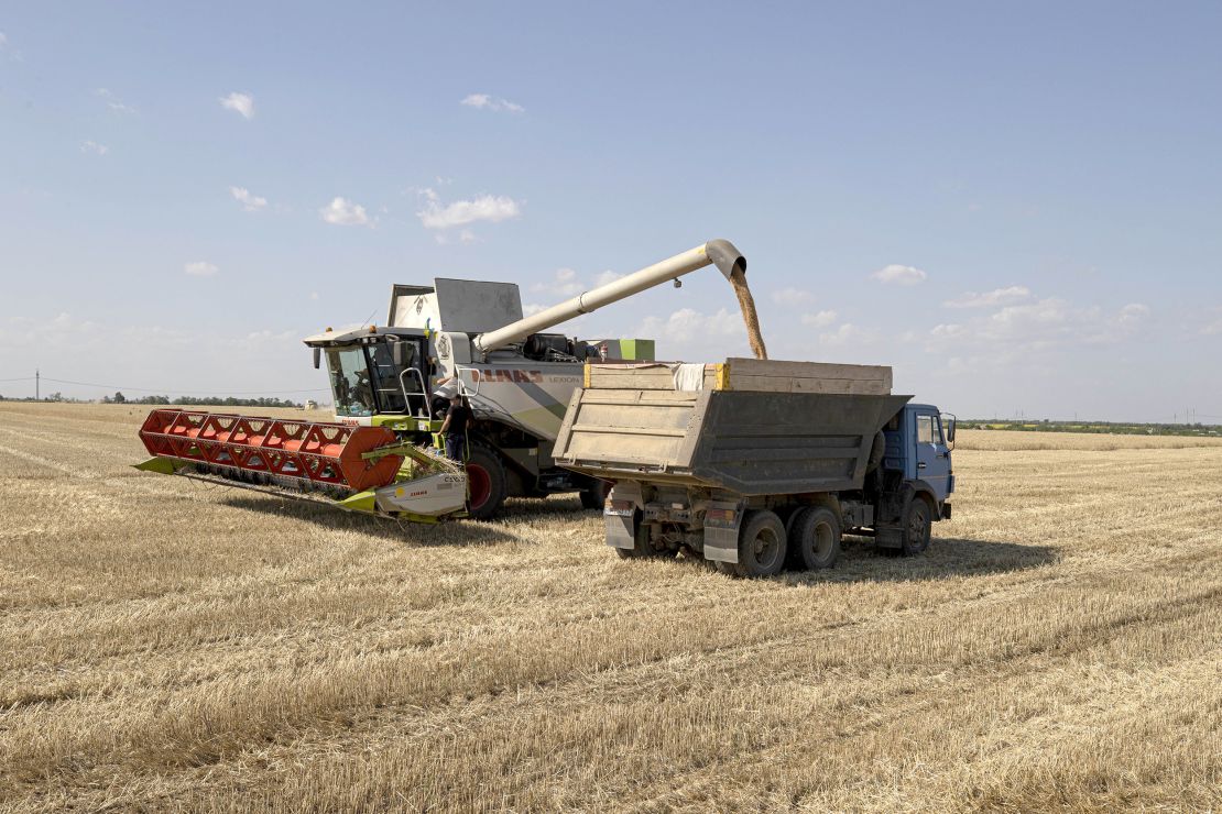 Los agricultores cosechan grano en los campos de la región de Odesa, Ucrania, el 4 de julio.