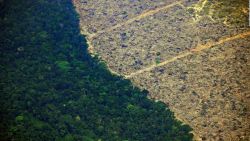 CNNE 1235130 - ¿cuales son las consecuencias de la acelerada deforestacion en la amazonia? oppenheimer responde