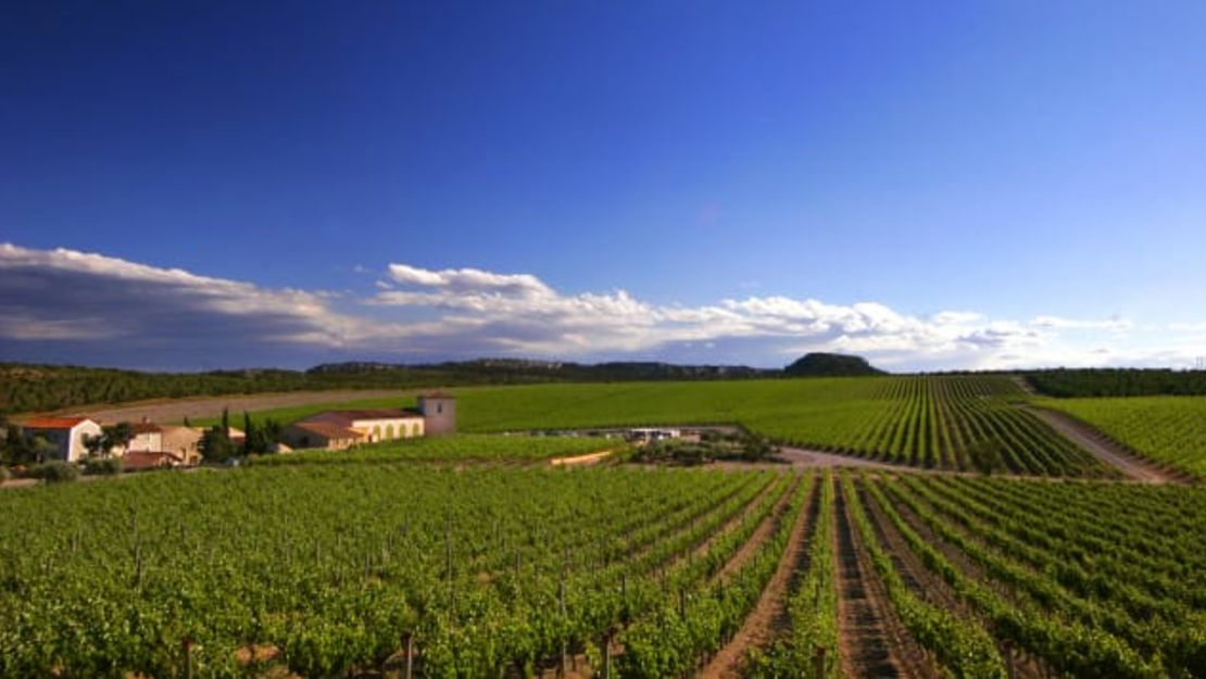 Château l'Hospitalet es una bodega costera y un hotel boutique situado entre los viñedos de la denominación La Clape. Crédito: Gilles Deschamps