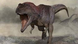 CNNE 1235543 - conoce nueva especie de dinosaurio descubierta en argentina