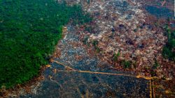 CNNE 1235890 - estrategia de ee-uu- y brasil contra la deforestacion del amazonas