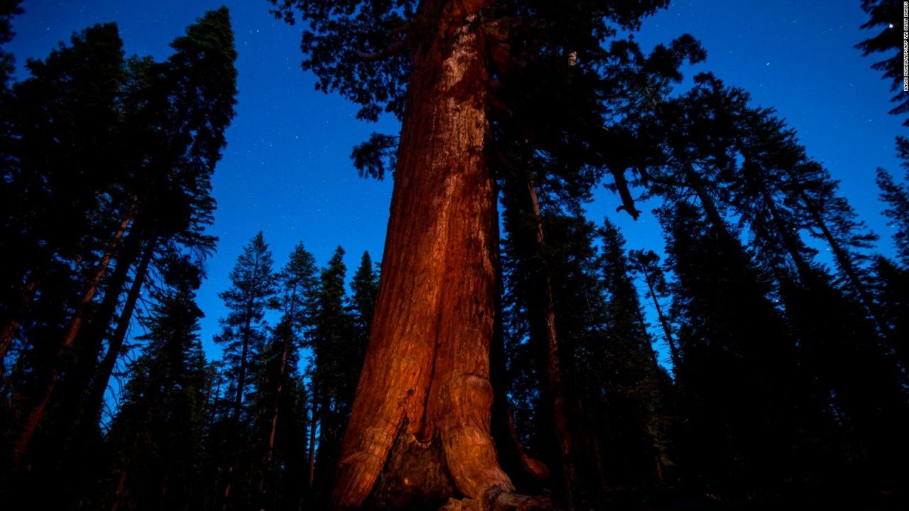 CNNE 1236800 - alerta maxima por incendios en yosemite