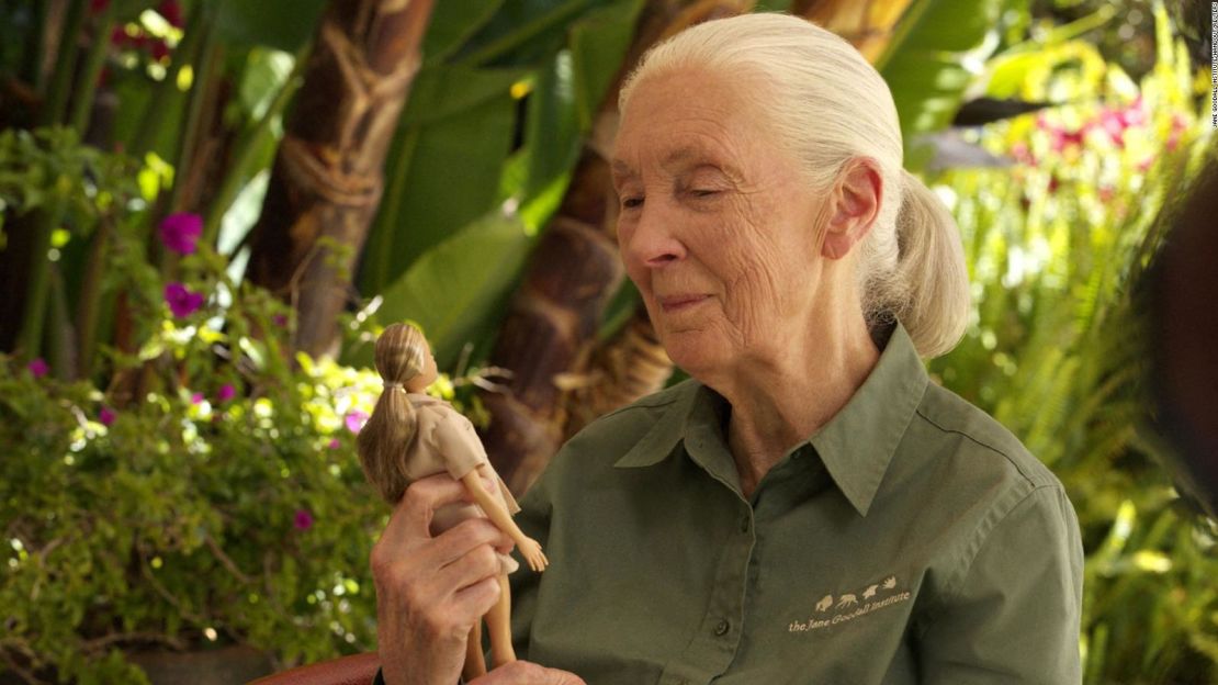 Jane Goodall sostiene la nueva muñeca Barbie. Crédito: Jane Goodall Institute/Handout/Reuters