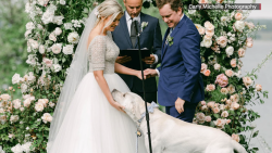 CNNE 1239359 - mira el divertido momento en el que un perro se incluye en una boda