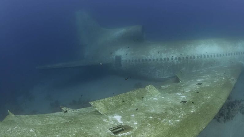 Olvidado: el Lockheed, que entró en servicio en la década de 1980 y trabajó con varias aerolíneas comerciales de pasajeros, había sido abandonado durante muchos años en un aeropuerto cerca del mar Rojo antes de ser sumergido.