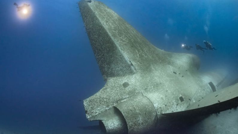 Jardín submarino: después de tres años en el agua, las alas del avión albergan ahora numerosos corales blandos. El fuselaje está rodeado de enormes esponjas pobladas por una gran variedad de vida marina.