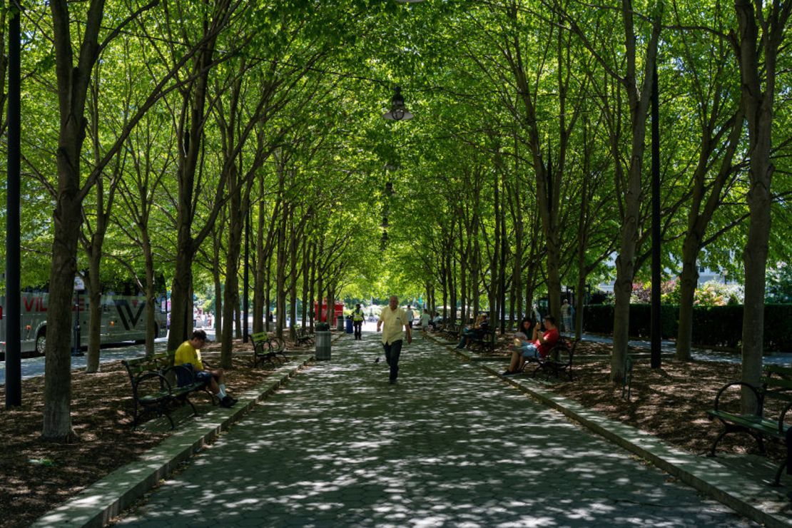 Las personas buscan refugio en un parque de Nueva York el 19 de julio de 2022 cuando las temperaturas suben en la costa oeste a más de 32 grados centígrados.