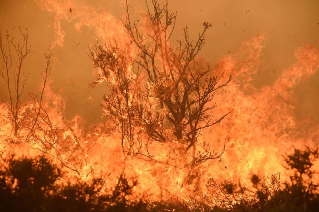 Incendio en Pumarejo, cerca de Zamora, en el noroeste de España.