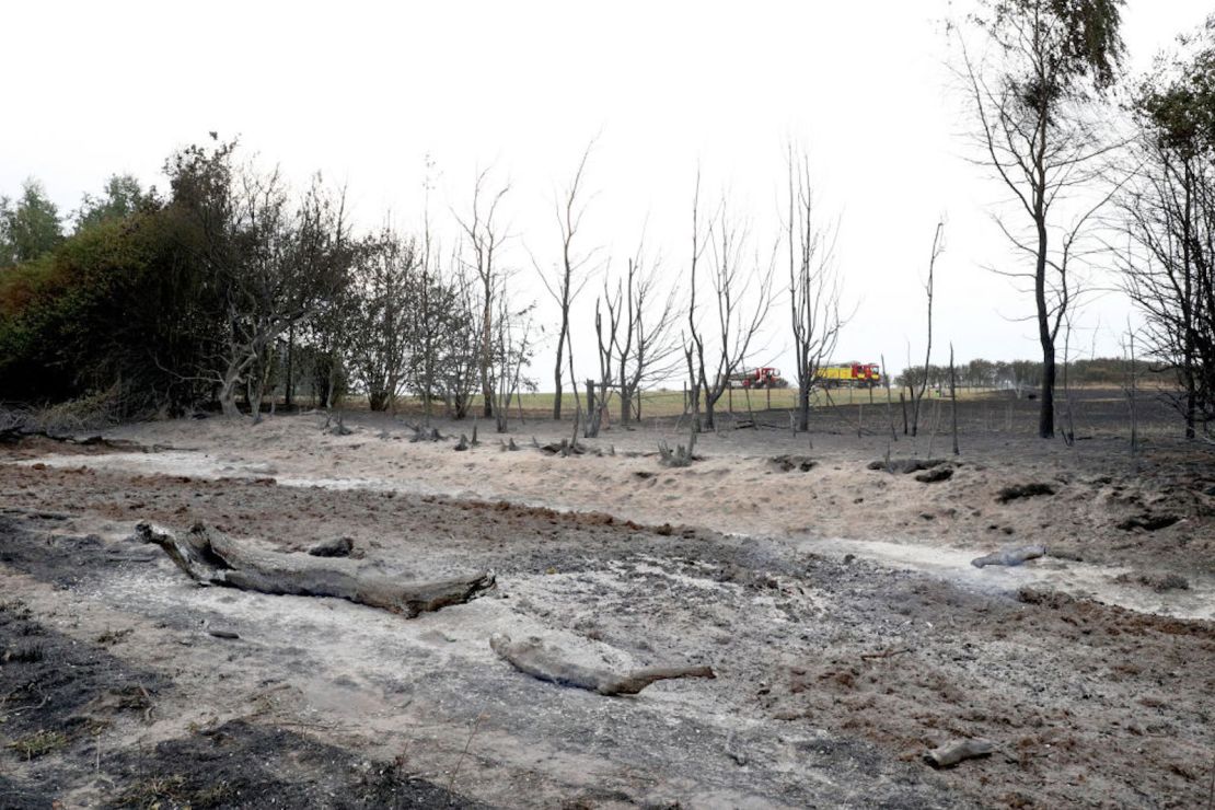 Un bosque quemado después de un incendio el 19 de julio de 2022 en Blidworth, Inglaterra. Una serie de incendios forestales han estallado en Inglaterra cuando la ola de calor del Reino Unido alcanzó temperaturas récord de 40,3 °C.