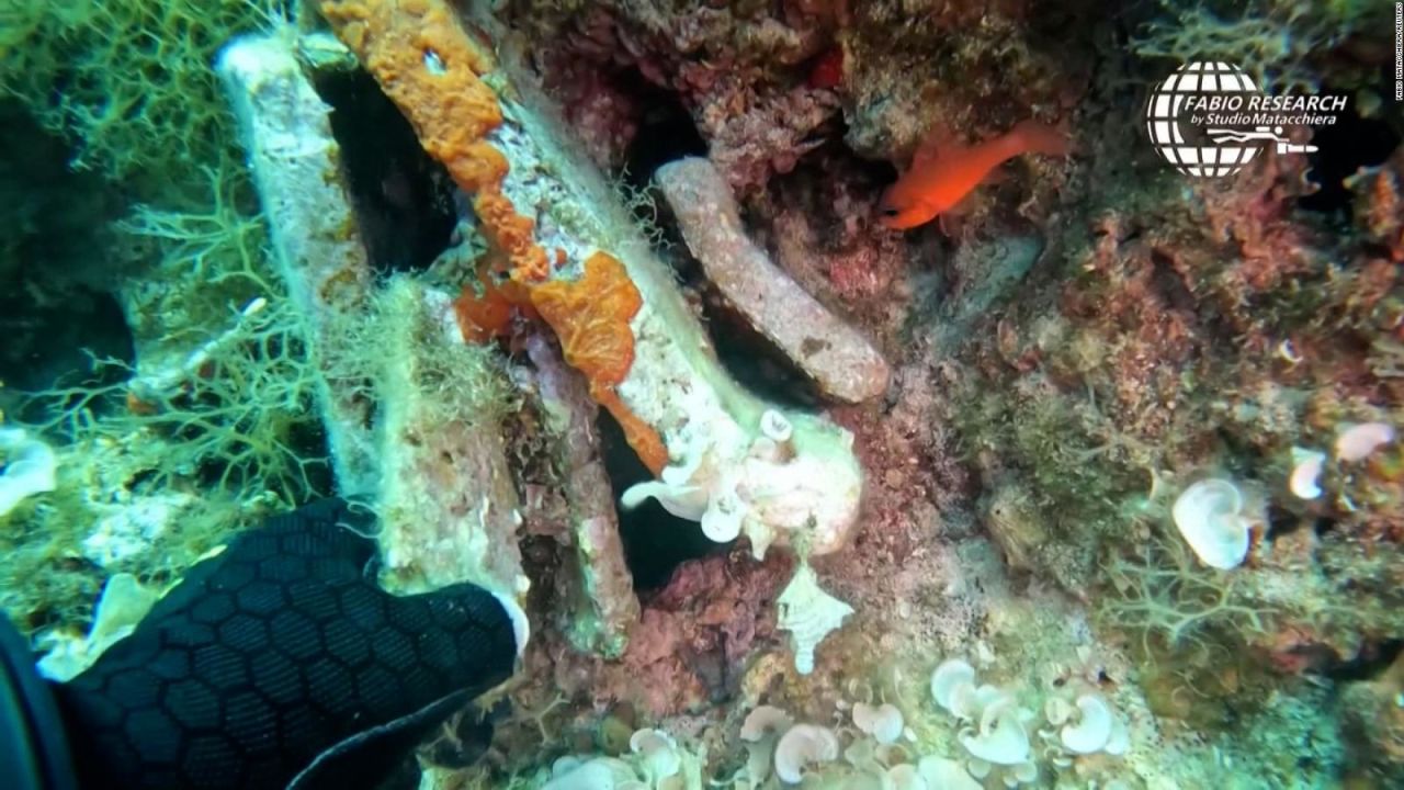 CNNE 1243400 - un buzo hizo un importante hallazgo en el fondo del mar