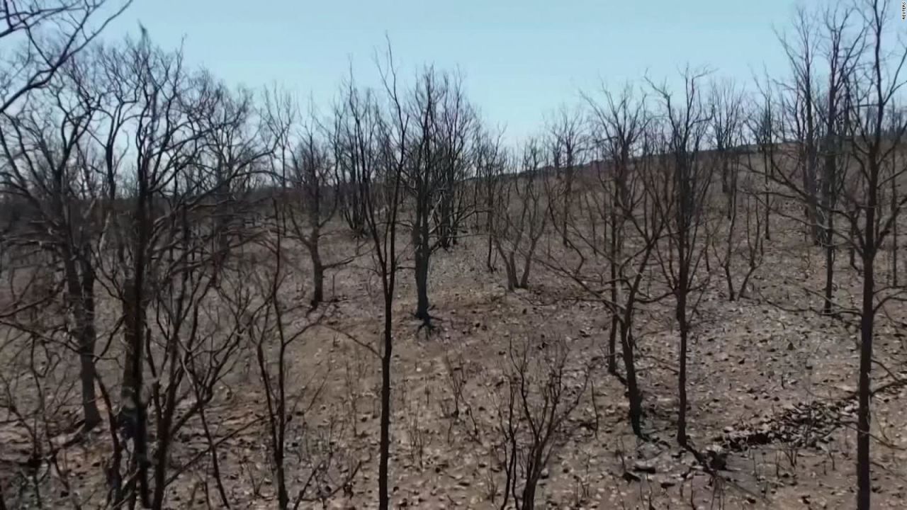 CNNE 1245143 - el antes y despues de la provincia espanola de zamora tras los incendios