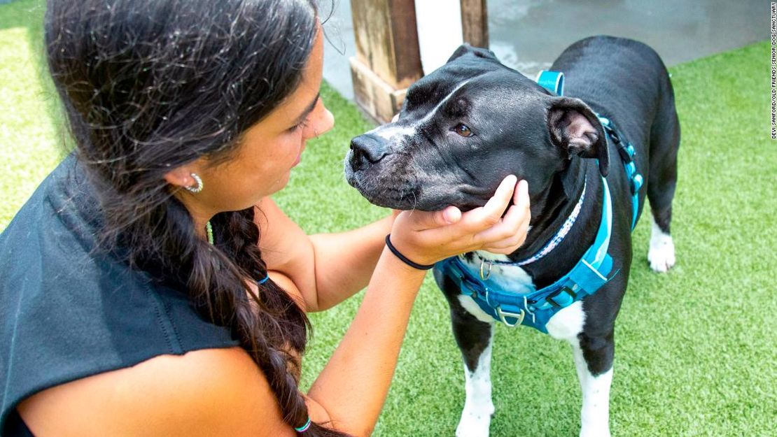 Old Friends Senior Dog Sanctuary, en Tennessee, paga más por la comida y los cuidados veterinarios que proporciona a más de 500 perros.