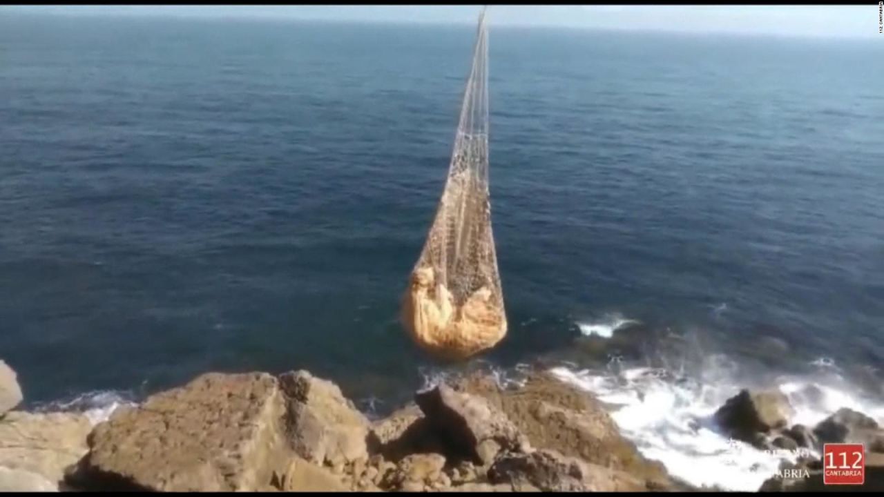 CNNE 1247853 - mira como rescatan desde el aire a una vaca que cayo de un acantilado