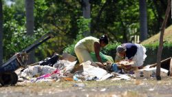 CNNE 1248183 - fao- aun hay tiempo para reducir el hambre en latinoamerica