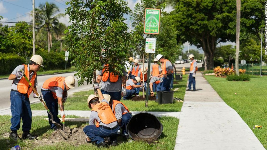 El proyecto de paradas de autobús con sombra en Miami.