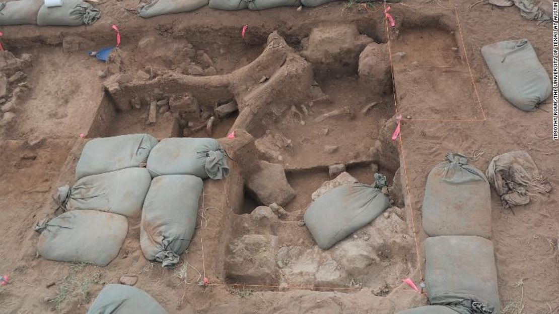 El lugar de la excavación contenía huesos fracturados de un cráneo, columna vertebral y costillas de mamut.