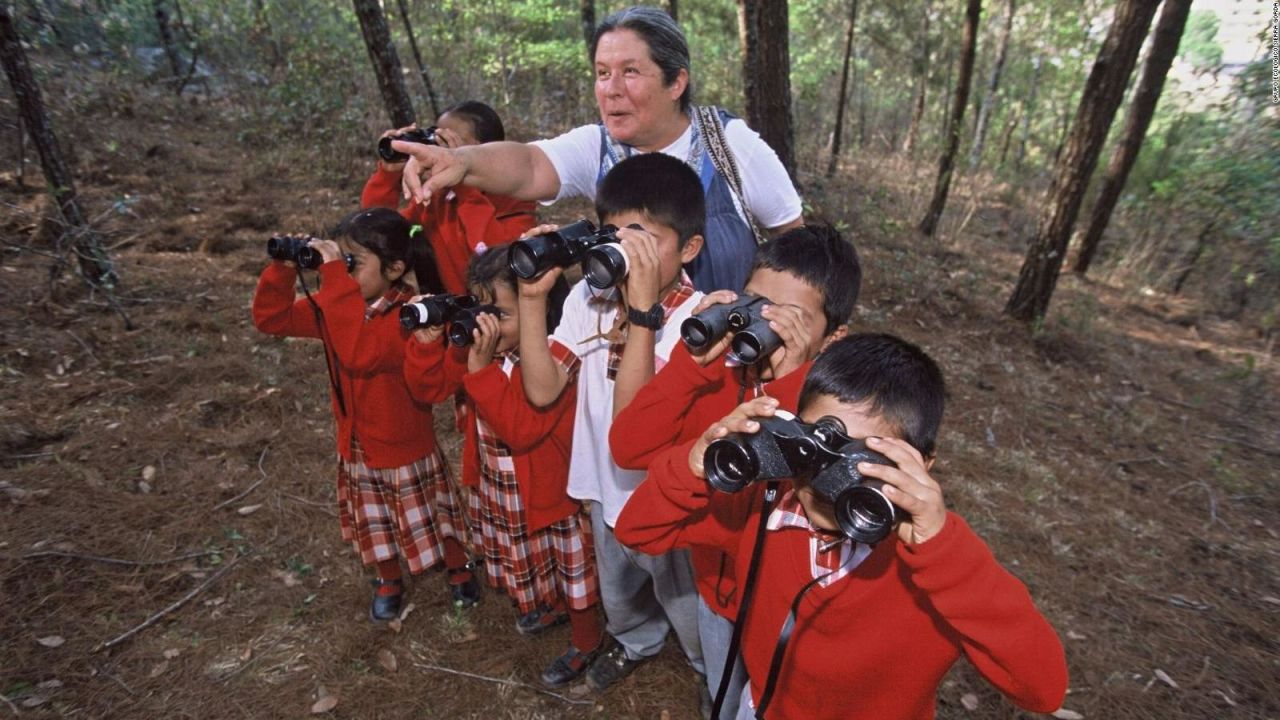 CNNE 1250731 - el grupo ecologico mexicano que alivia la presion a la tierra