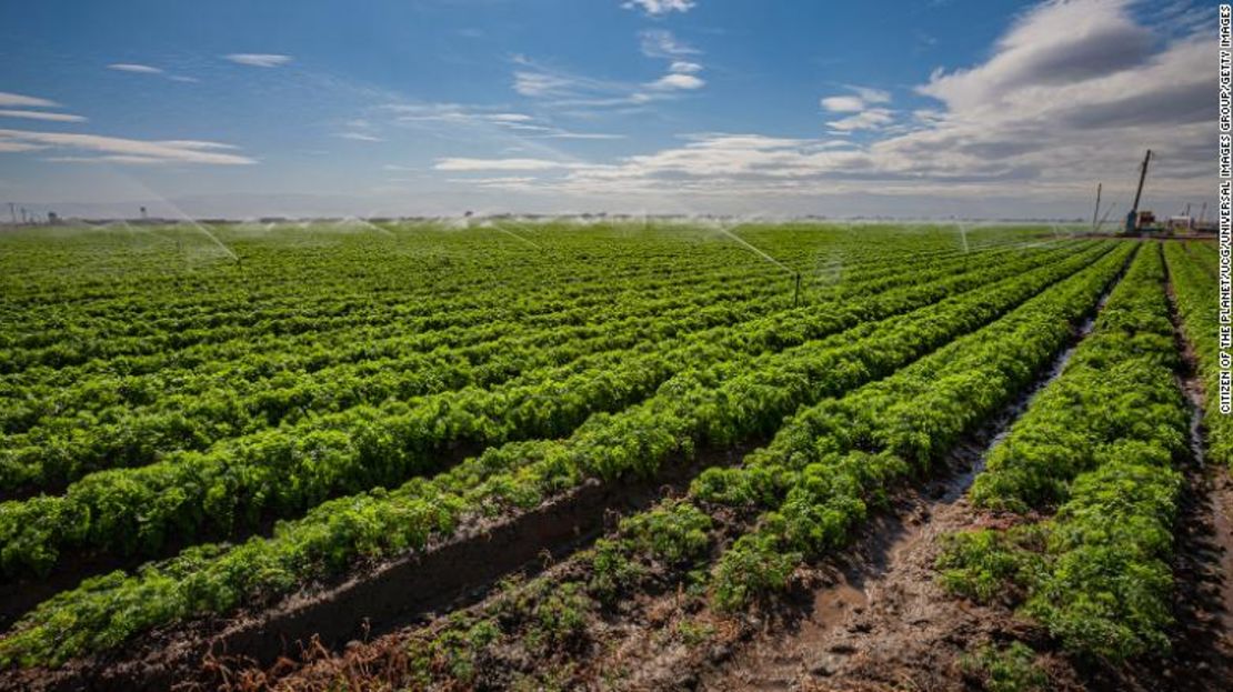 El Valle Central de California, que produce una cuarta parte de los alimentos del país, se verá asolado por una megainundación.