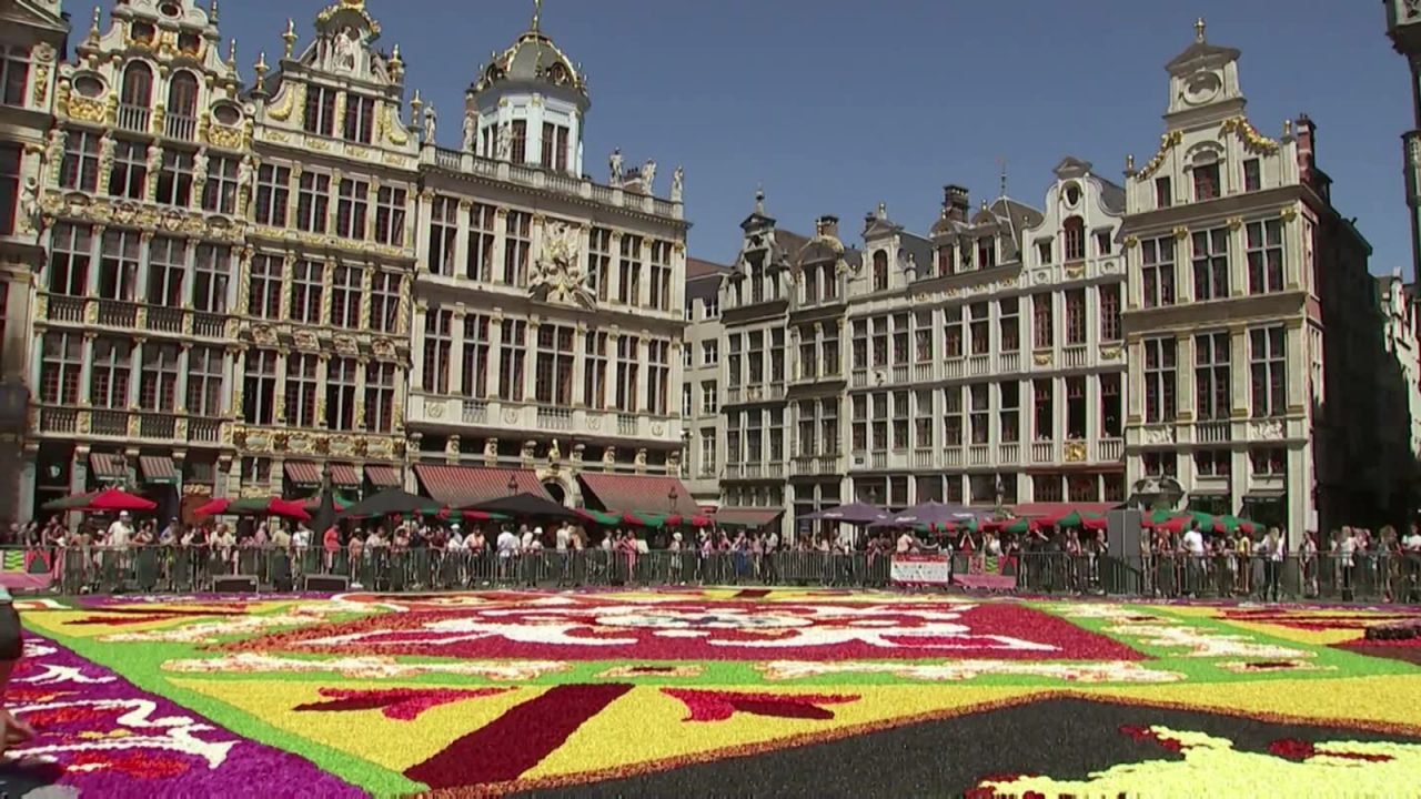 CNNE 1253917 - mexicanos cubren plaza de bruselas con tapete de flores