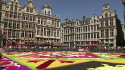 CNNE 1253917 - mexicanos cubren plaza de bruselas con tapete de flores