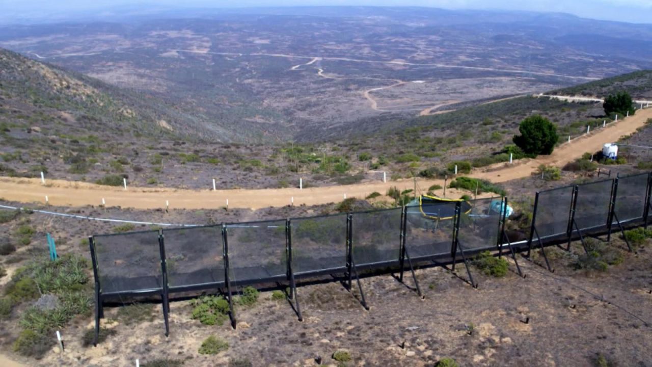 CNNE 1254118 - ¿como se almacena el agua de la niebla?