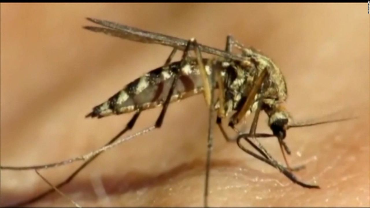 CNNE 1254235 - ¿que es el virus del nilo occidental reportado en nueva york?
