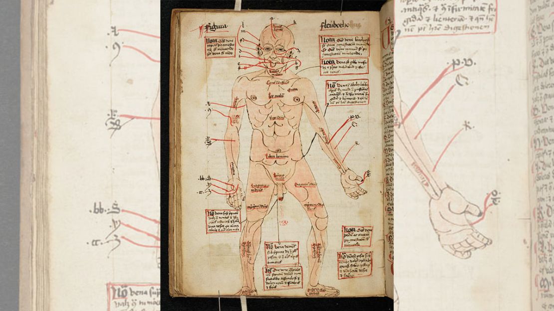 Diagrama del cuerpo humano, que muestra las venas que se abren para la extracción de sangre, siglo XVI. Crédito: The Master and Fellows of Trinity College; cambridge