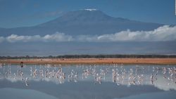 CNNE 1255349 - instalan internet en el monte kilimanjaro