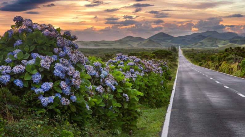 Las Azores: una carretera aparentemente interminable se adentra en las lejanas montañas nubladas de la isla de Pico, en la cadena de las Azores. Estas islas portuguesas son llamadas a veces "el Hawái del Atlántico". Pico será de especial interés para los amantes del vino. Crédito: Federica Violin/Adobe Stock