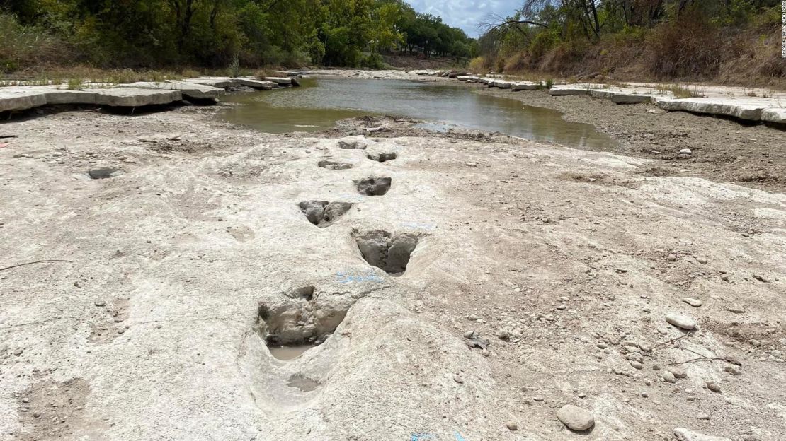 Se han descubierto las huellas de un dinosaurio de 18 metros en el lecho de un río seco en el Parque Estatal del Valle de los Dinosaurios en Texas.