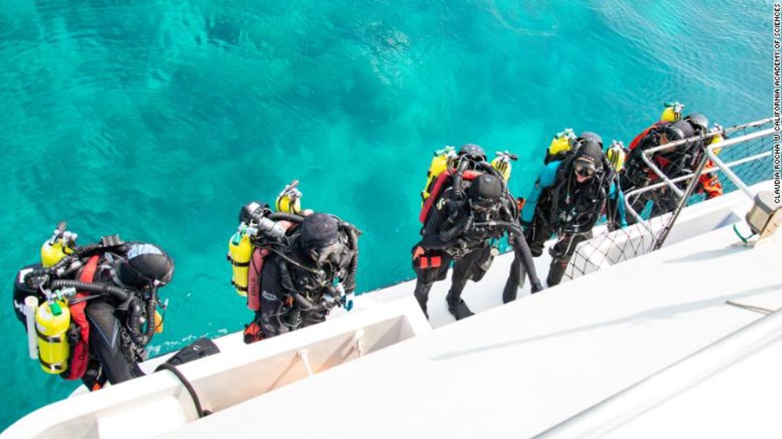 Rocha y un equipo de buzos se preparan para explorar los arrecifes de la zona crepuscular de las Maldivas durante una expedición reciente.