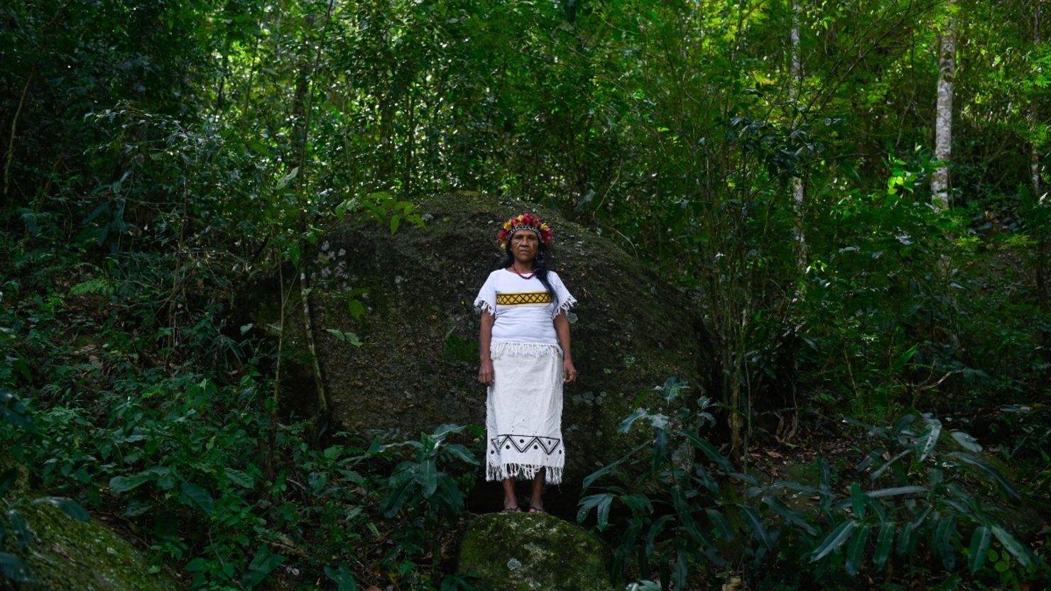 CNNE 1258361 - brasil-explotacion-tierras-indigenas-bolsonaro