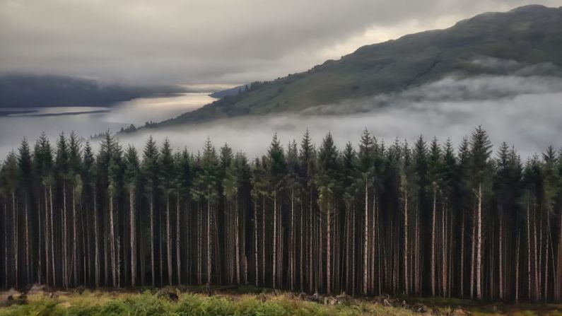 Una parada nocturna en Tarbet, Loch Lomond, en Escocia, y una caminata matutina con los perros Oscar y Ollie por Cruach Tairbert revelaron a Vince Campbell esta hermosa escena de niebla.