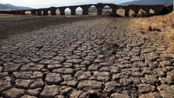 CNNE 1260395 - lecciones de las regiones aridas para el cambio climatico