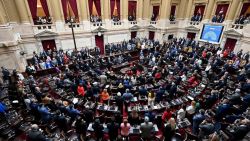 CNNE 1262482 - camara de diputados voto a favor de repudiar ataque contra cfk