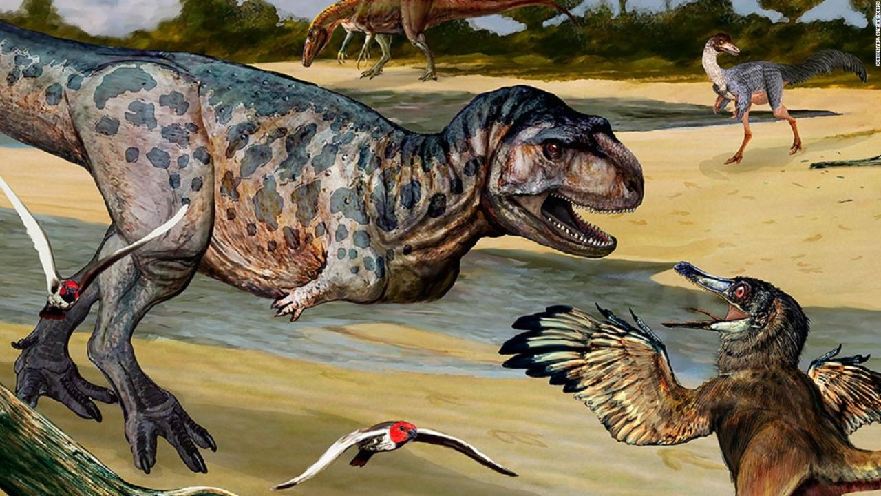 CNNE 1263086 - descubren una nueva especie de dinosaurio en argentina